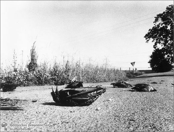 Air Pollution in Brunsbüttel (1985)